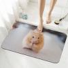 YFSGDLBN Diatomaceous Earth Mat, Washable Entryway Mat, Chestnut Hamster view 3