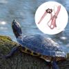 Soft Multicolor Turtle Walking Harness Leash for Pets view 3