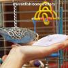 Bird Octopus Bone Chew Toy view 3