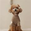 ZAYIUKI Dog Heart Sweatshirt view 3