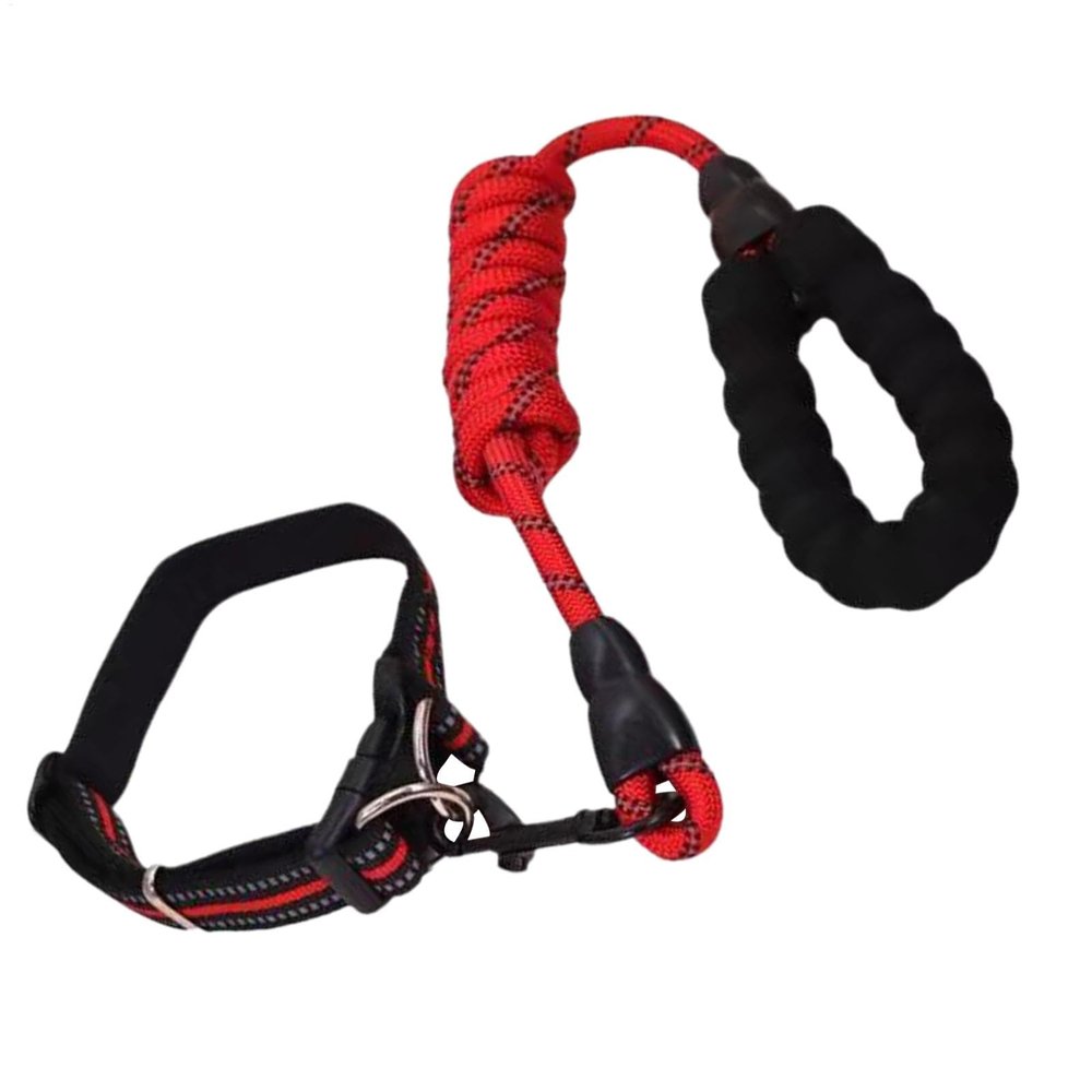 Small Adjustable Dog Collar