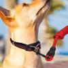Small Adjustable Dog Collar view 3
