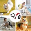 Small Adjustable Dog Collar view 4