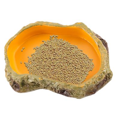 Safe Multifunctional Reptile Terrarium Bowl