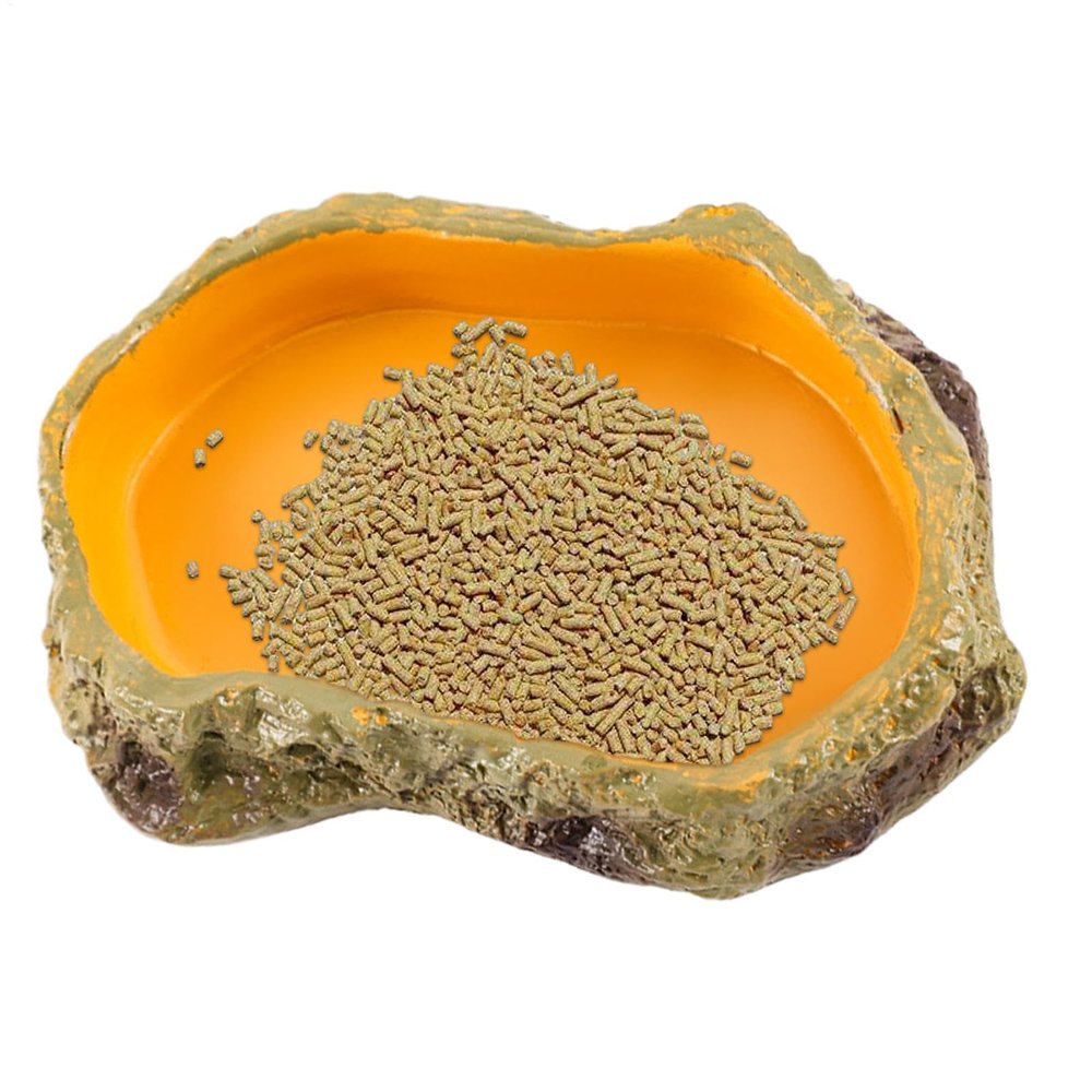 Safe Multifunctional Reptile Terrarium Bowl
