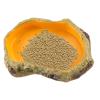 Safe Multifunctional Reptile Terrarium Bowl view 1