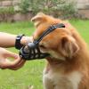 Dog Muzzle | Adjustable Loop Pet Muzzle Portable Cage Muzzle view 3