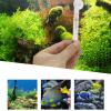 Aquarium Thermometer & Hygrometer view 2