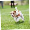 BESPORTBLE Dog Chew Stick, Coffee Wood Dental Chew Toy for Puppies view 4