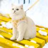 Eventerde High-Performance Dog Leash view 2