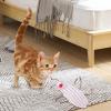 Catnip Toy with Crinkle Sound, Interactive Cat Toy view 2