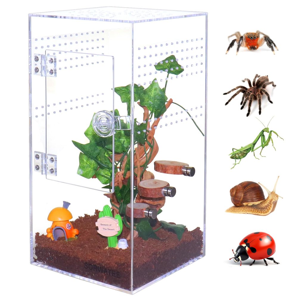 SORWATEE Acrylic Jumping Spider Enclosure, Front-Door Terrarium, 15.2 x 15.2 x 30.5 cm