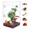 SORWATEE Acrylic Jumping Spider Enclosure, Front-Door Terrarium, 15.2 x 15.2 x 30.5 cm view 1