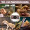 Realistic Resin Log Hide Cave for Reptiles and Amphibians view 4