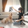 Interactive Dog Chew Toy - Plush Squeaky Toy view 2