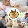 Dog Brain Training Snuffle Mat with Potato Toy view 3