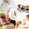 Birthday Cake Dog Toy view 4
