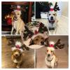 Christmas Reindeer Antler Headband view 3