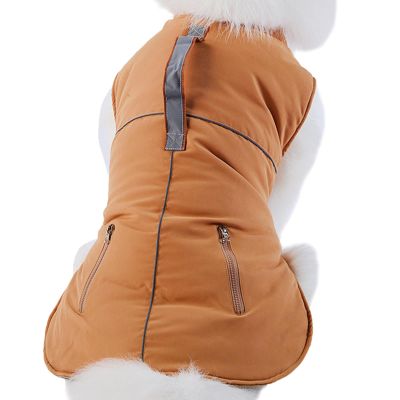 Adorable Winter Coat for Dogs