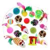 LearnLyrics Cat Toy - 20-Piece Teaser Set view 1