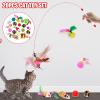 LearnLyrics Cat Toy - 20-Piece Teaser Set view 2