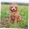 BESPORTBLE Adjustable Elastic Hat for Dogs and Cats Size S view 4