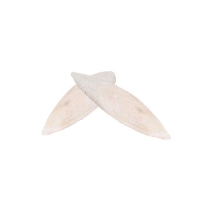 Happyyami 10 cm Cuttlebone Chew Toy for Parrots and Small Pets
