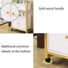 Salon Storage Cart with Drawer and Cabinet view 3