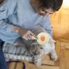 Slicker Brush for Dogs and Pets | Pet Slicker Massage Comb for Cats view 2