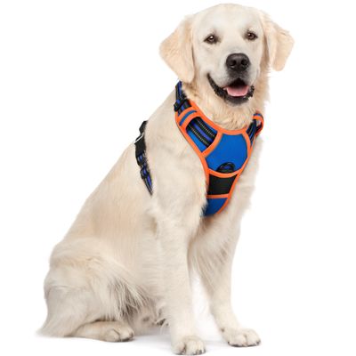 rabbitgoo No-Pull Dog Harness for Large Dogs with Handle, XL, Blue & Orange