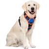 rabbitgoo No-Pull Dog Harness for Large Dogs with Handle, XL, Blue & Orange view 1