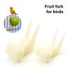Wilgure Bird Fruit Feeder Forks for Parrots, 10-Piece Set view 2