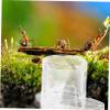 TOGEVAL Acrylic Ant Nest with Water Dispenser view 4