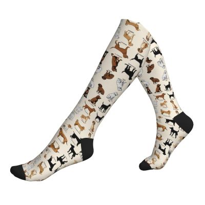 Jaywis Special Compression Socks for Women and Men, 15–20 mmHg, 2, Black, EU 32, One Size Short