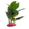 Artificial Plastic Aquarium Plant for Terrariums and Aquariums view 1