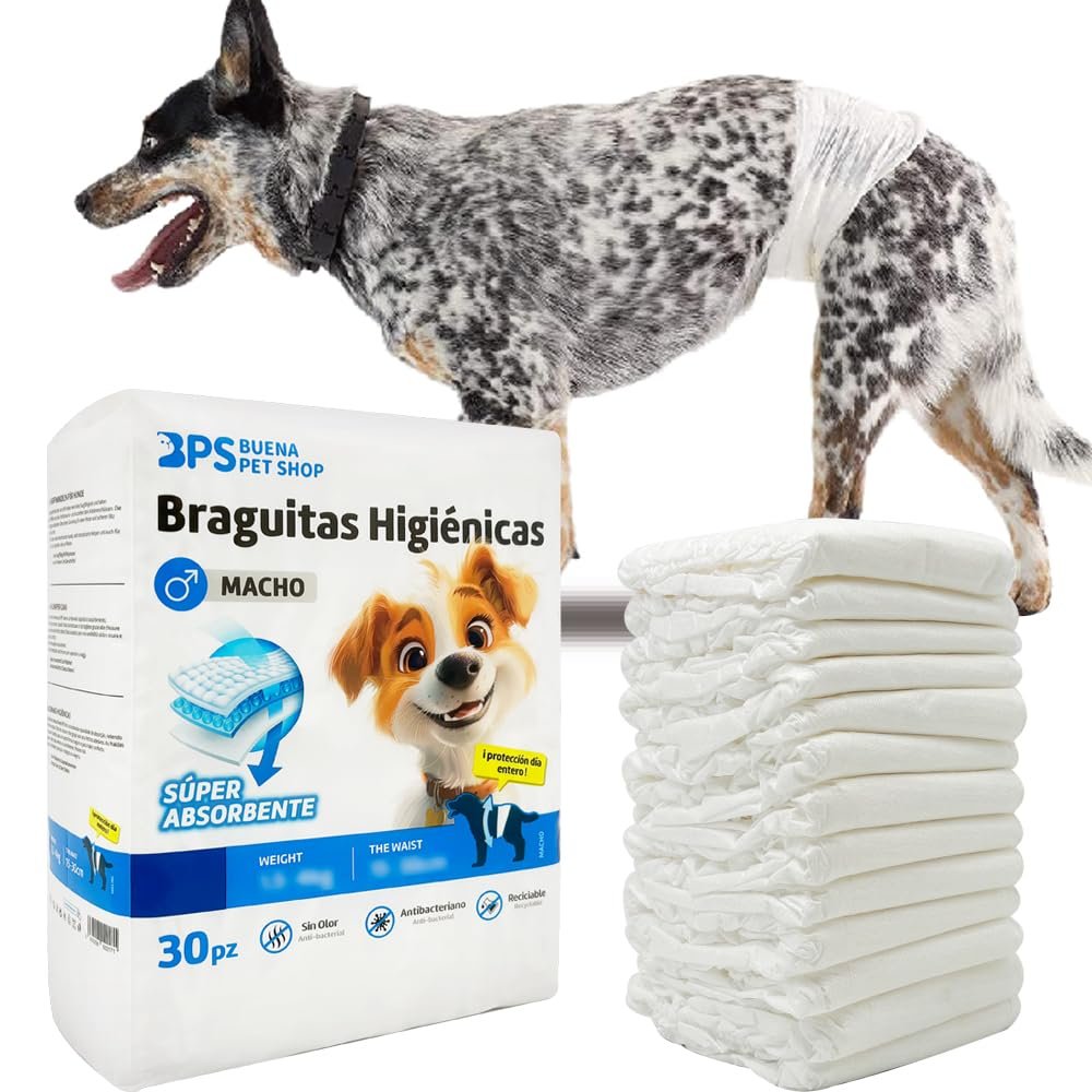 BPS BPS-2218 Hygiene Pants for Male Dogs, 3 Sizes, 30 Count
