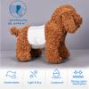 BPS BPS-2218 Hygiene Pants for Male Dogs, 3 Sizes, 30 Count view 4