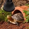Huayeex Reptile Lamp Fixture view 2