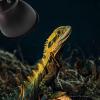 Huayeex Reptile Lamp Fixture view 3