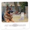 Hanging Pet Water Bottle with Automatic Refill, 500 ml view 3