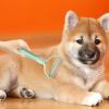Pet Comb - Double-Sided Dog Grooming Brush view 2