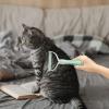 Pet Comb - Double-Sided Dog Grooming Brush view 3