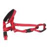 Pet Halter for Dogs view 4