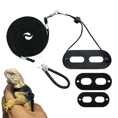 Leashes and Harnesses for Bearded Dragons