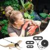Leashes and Harnesses for Bearded Dragons view 3