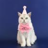 Birthday Hat for Cats view 2