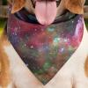Dog Bandana with Star Print view 3
