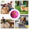 Dog Giggle Ball - Interactive Puzzle Toy view 2
