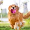 Dog Giggle Ball - Interactive Puzzle Toy view 3