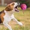 Dog Giggle Ball - Interactive Puzzle Toy view 4